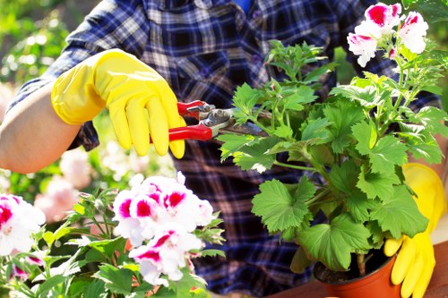 Transparent landscaping pricing for a busy Hackney property