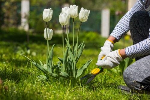 Commitment to ethical and lawful landscaping practices
