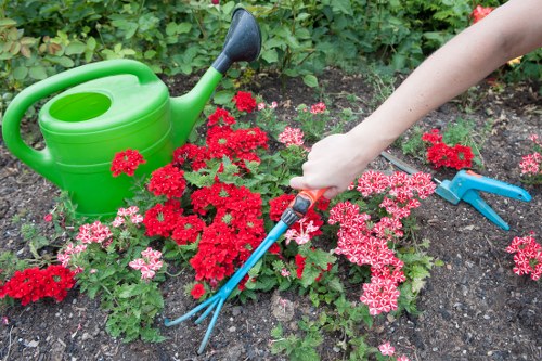 Composting and recycling activities supporting green spaces in Hackney