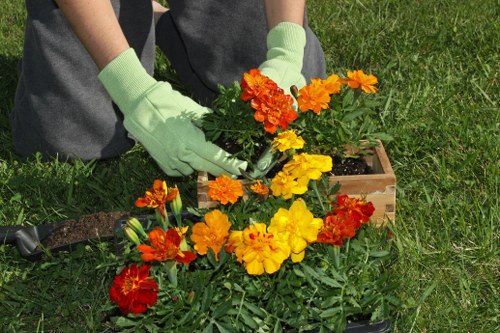 Local landscaping team planning a garden project in Hackney