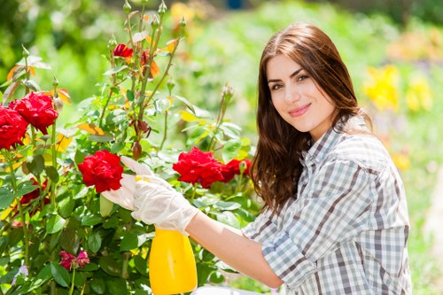 Free quote process for a Hackney outdoor maintenance project