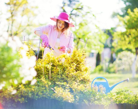 Assessment of a garden landscaping issue with plans and materials