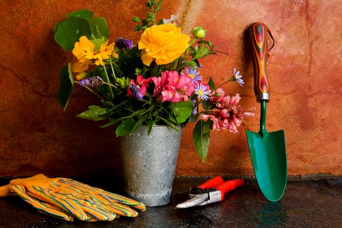 A family garden makeover with updated surfaces, planting, and clearer zones