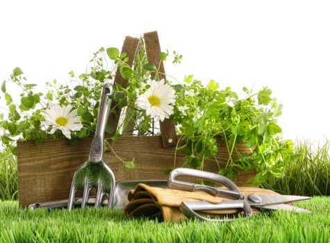 Accepted payment methods for Landscaping Hackney including cards and PayPal