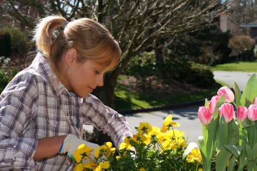 Senior review of a landscaping complaint and proposed resolution