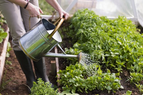 Well-designed Hackney outdoor space with greenery, paving, and seasonal planting
